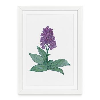 orchidée danoise - Affiche encadrée (27 × 37 cm) - blanc - Devant