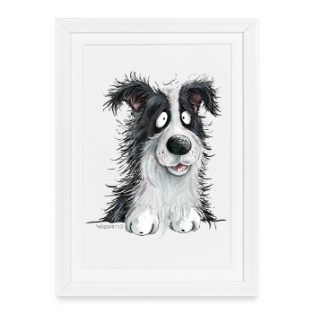 Droll Border Collie Chien de troupeau Amoureux des chiens - Affiche encadrée (27 × 37 cm) - blanc - Devant