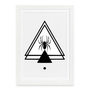 Araignée - Affiche encadrée (27 × 37 cm) - blanc - Devant