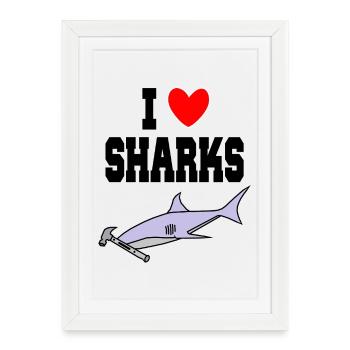J’aime les requins Drôle de requin-marteau, marteau mignon - Affiche encadrée (27 × 37 cm) - blanc - Devant