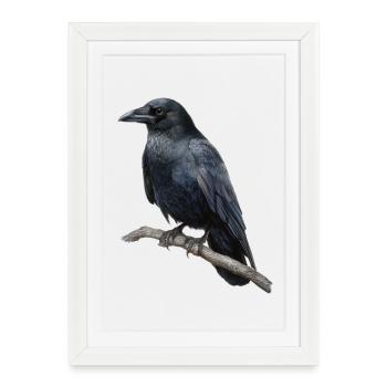 Raven Crow Bird - Framed poster (27 × 37 cm) - white - Front