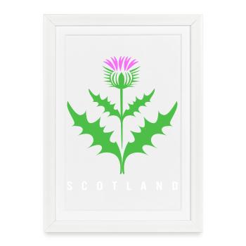 Écosse Écossais Écossais écossais - Affiche encadrée (27 × 37 cm) - blanc - Devant