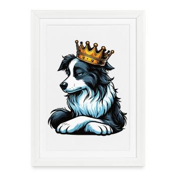 Border Collie Propriétaire Collie Amant de Collie - Affiche encadrée (27 × 37 cm) - blanc - Devant