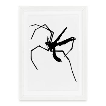 Moustique à longues pattes - Affiche encadrée (27 × 37 cm) - blanc - Devant