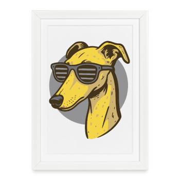 Lévrier, Galgo - Affiche encadrée (27 × 37 cm) - blanc - Devant