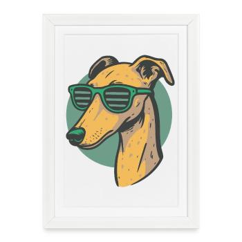 Lévrier, Galgo - Affiche encadrée (27 × 37 cm) - blanc - Devant