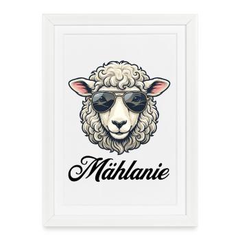 Mouton Mählanie avec des lunettes de soleil - Affiche encadrée (27 × 37 cm) - blanc - Devant
