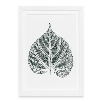 Linden Leaf - Natural Leaves - Framed poster (27 × 37 cm) - white - Front