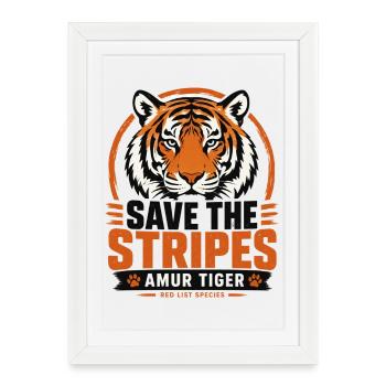 Sauver les rayures Tigre de l’Amour - Affiche encadrée (27 × 37 cm) - blanc - Devant