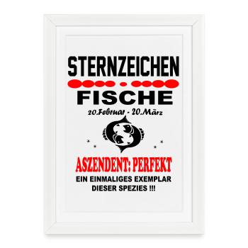 Fische Sternzeichen Horoskop Aszendent Perfekt - Gerahmtes Poster (27 × 37 cm) - Weiß - Vorne