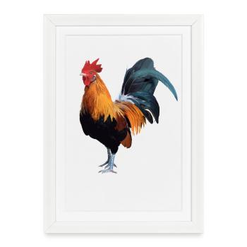 Hahn - Affiche encadrée (27 × 37 cm) - blanc - Devant