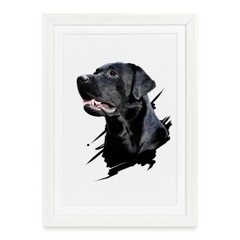 Labrador - Affiche encadrée (27 × 37 cm) - blanc - Devant