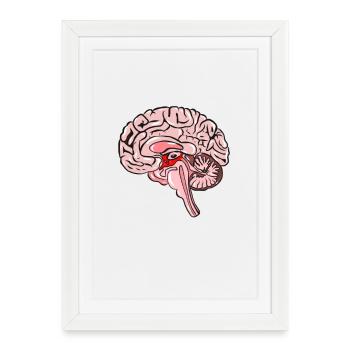 Science Medicine Neurology Brain - Framed poster (27 × 37 cm) - white - Front