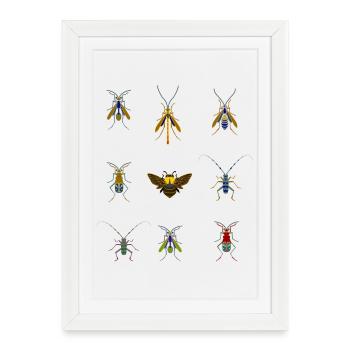 insects mosquitoes bee sting overview fly bug - Framed poster (27 × 37 cm) - white - Front