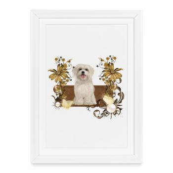 Chiot maltais mignon avec des fleurs - Affiche encadrée (27 × 37 cm) - blanc - Devant