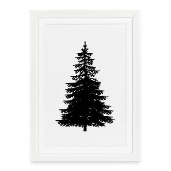 Fir Tree Nature Forest Ecology Nature Conservation Wilderness - Framed poster (27 × 37 cm) - white - Front