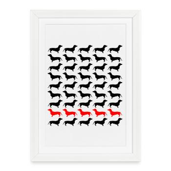 Teckel Teckel Teckel - Affiche encadrée (27 × 37 cm) - blanc - Devant