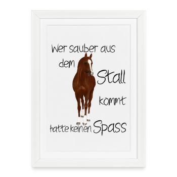 Braunes Pferd mit weißem Abzeichen - Gerahmtes Poster (27 × 37 cm) - Weiß - Vorne