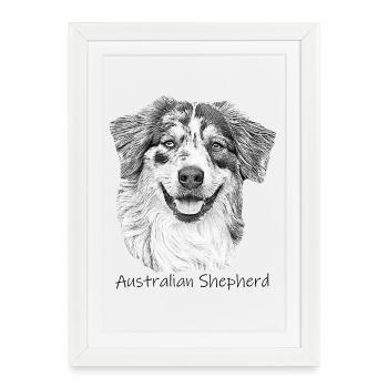 Australia Shepherd drawing walking dog Shepherd - Framed poster (27 × 37 cm) - white - Front