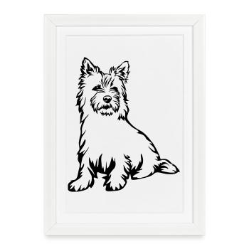 Cairn Terrier - Affiche encadrée (27 × 37 cm) - blanc - Devant