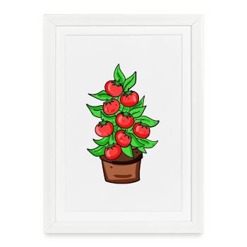 Tomates Serre jardin - Affiche encadrée (27 × 37 cm) - blanc - Devant