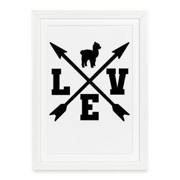 Alpaga - Affiche encadrée (27 × 37 cm) - blanc - Devant