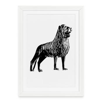 Lion de Brunswick - Affiche encadrée (27 × 37 cm) - blanc - Devant