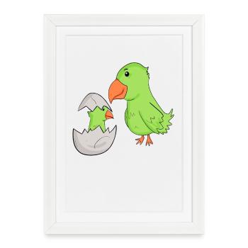 Perroquet avec bébé perroquet - Affiche encadrée (27 × 37 cm) - blanc - Devant