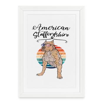 Staffordshire Terrier américain rétro - Affiche encadrée (27 × 37 cm) - blanc - Devant