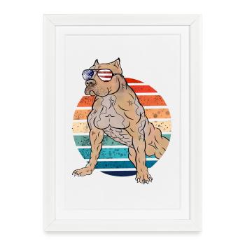 Staffordshire Terrier américain vintage - Affiche encadrée (27 × 37 cm) - blanc - Devant