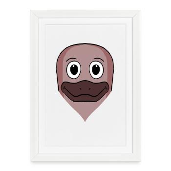Ornithorynque - Affiche encadrée (27 × 37 cm) - blanc - Devant