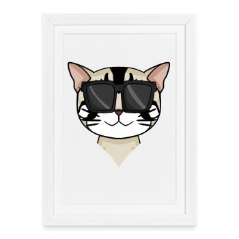 American Shorthair Cat avec lunettes de soleil - Affiche encadrée (27 × 37 cm) - blanc - Devant