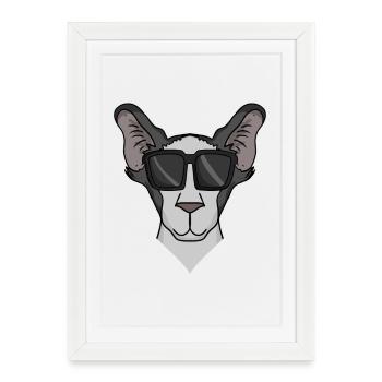 Chat oriental à poil court avec lunettes de soleil - Affiche encadrée (27 × 37 cm) - blanc - Devant