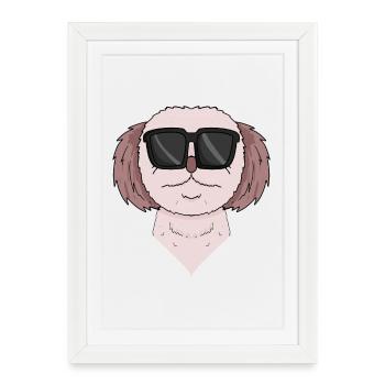 Shih Tzu Chien Race de chien - Affiche encadrée (27 × 37 cm) - blanc - Devant