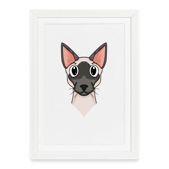 Siamese cat - Framed poster (27 × 37 cm) - white - Front