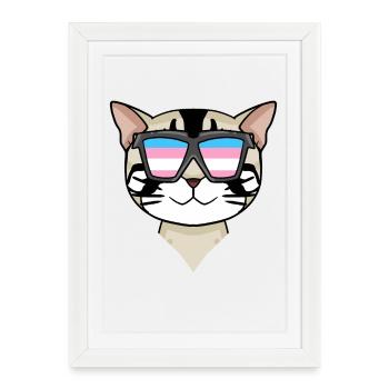 Transgenre Transsexuel American Shorthair Cat - Affiche encadrée (27 × 37 cm) - blanc - Devant