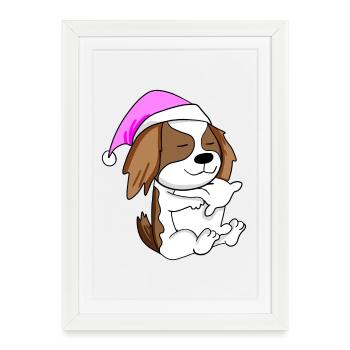 Chien race de chien Cavalier King Charles Spaniel - Affiche encadrée (27 × 37 cm) - blanc - Devant