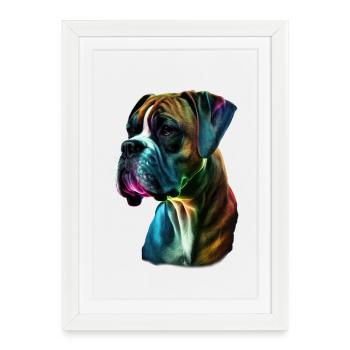Boxer Dog Coloré - Affiche encadrée (27 × 37 cm) - blanc - Devant