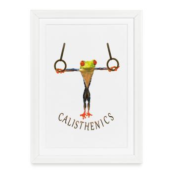Calisthenics - Framed poster (27 × 37 cm) - white - Front
