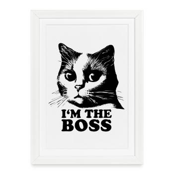 Chat - Affiche encadrée (27 × 37 cm) - blanc - Devant