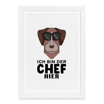 Cooler Hund Pointer Hund Chef Spruch - Gerahmtes Poster (27 × 37 cm) - Weiß - Vorne