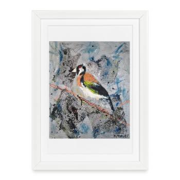 Acrylic painting with Stiglitz on tree branch - Framed poster (27 × 37 cm) - white - Front