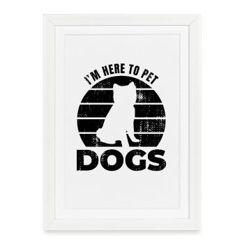 Je suis ici pour caresser les chiens - Affiche encadrée (27 × 37 cm) - blanc - Devant