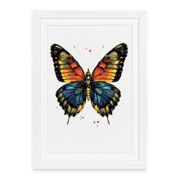 Butterfly Wings Colorful Butterfly Butterflies - Framed poster (27 × 37 cm) - white - Front