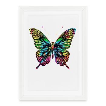 Butterfly Wings Colorful Butterfly Butterflies - Framed poster (27 × 37 cm) - white - Front
