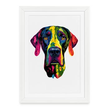 Dogue Allemand Hatz Mâle Saupacker Dogue Allemand - Affiche encadrée (27 × 37 cm) - blanc - Devant
