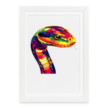 Serpent Python Cobra Mamba Serpent à sonnettes Serpent - Affiche encadrée (27 × 37 cm) - blanc - Devant