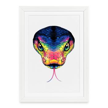 Serpent Python Cobra Mamba Serpent à sonnettes Serpent - Affiche encadrée (27 × 37 cm) - blanc - Devant