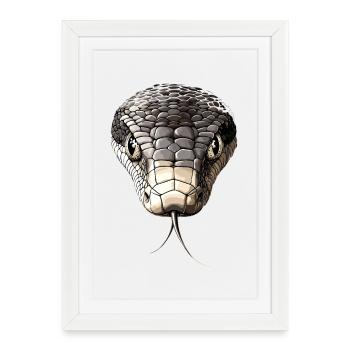 Serpent Python Cobra Mamba Serpent à sonnettes Serpent - Affiche encadrée (27 × 37 cm) - blanc - Devant