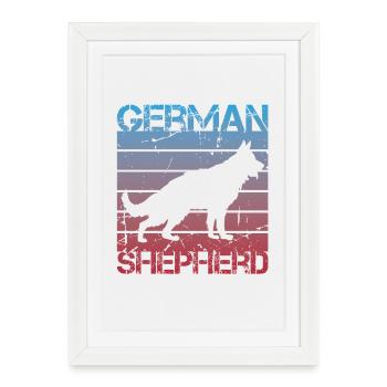 Chien de berger - Affiche encadrée (27 × 37 cm) - blanc - Devant